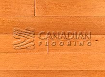 Solid Hard Maple, Panache, 3-1/4", Color: Cinnamon

                                 Hardwood Flooring Guelph