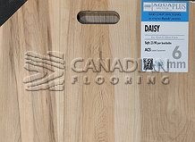 Luxury Vinyl Flooring, Aqua Plus Silver Plus, NAF, 6.0 mm, Color:  Daisy

                                 Vinyl Flooring East Gwillimbury