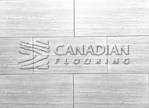 Matte Porcelain, 12x24, Color:  Escarpment Silver

                                 Canfloor Boutique Porcelain & Ceramic Tiles