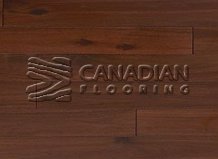 Solid Brazilan Cherry (Jatoba), SUNCA,  4-1/2" x 3/4",  Color:  Caramel

                                 Hardwood Flooring Montreal