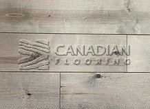 Solid Hard Maple Flooring, 4-3/4",  Brand Coverings,  Color:   Kingsport

                                 Hardwood Flooring Pickering