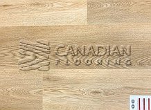 Luxury Vinyl Flooring, LuxCore Collection 6 mm, Color: Mars

                                 CANFLOOR BOUTIQUE Vinyl flooring