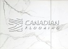 Polished Porcelain, 24x24, Color:  Statuario

                                 Canfloor Boutique Porcelain & Ceramic Tiles