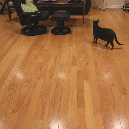 ENGINEERED WOOD FLOORING